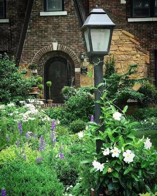 孤独花园在线观看,沉浸式在线观影之旅